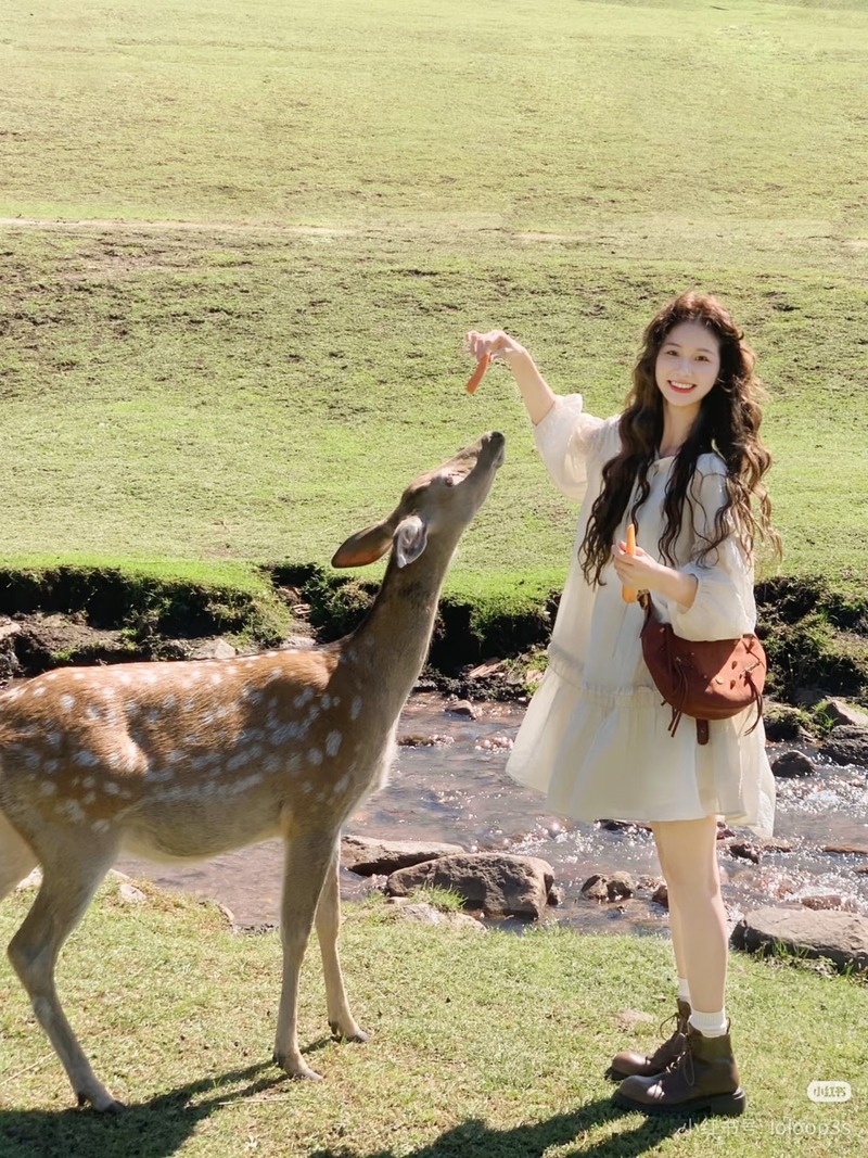 Hình Gái Xinh Áo Dài Xu Hướng Và Phong Cách Nổi Bật Của Thế Hệ Trẻ Mới